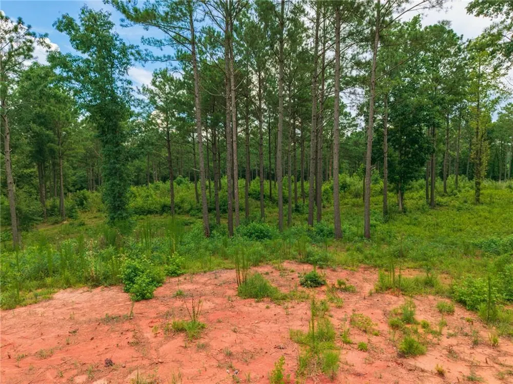 143 Falls Lane Milledgeville, GA 31061