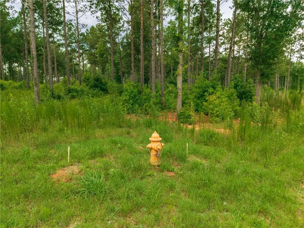 143 Falls Lane Milledgeville, GA 31061