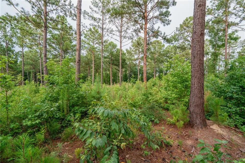 143 Falls Lane Milledgeville, GA 31061