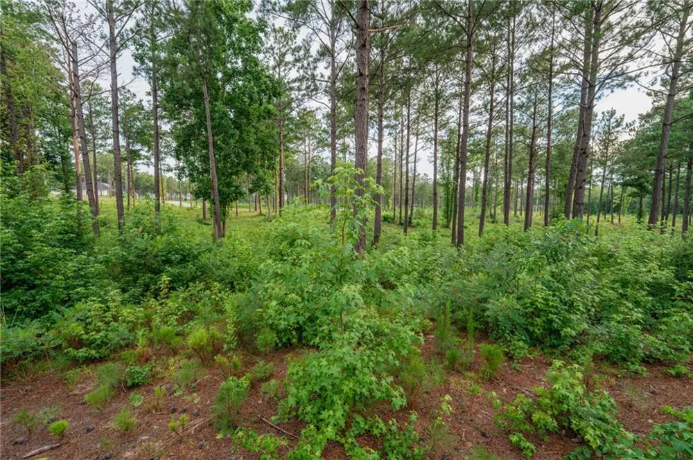 143 Falls Lane Milledgeville, GA 31061