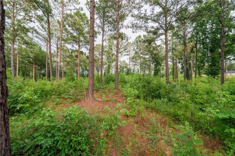 143 Falls Lane Milledgeville, GA 31061