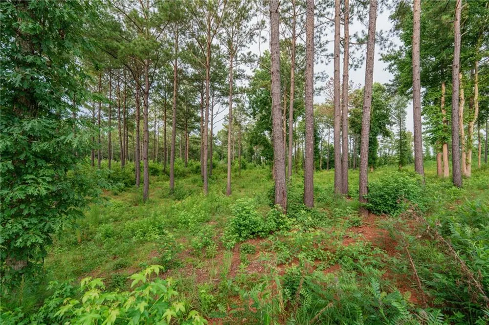 143 Falls Lane Milledgeville, GA 31061