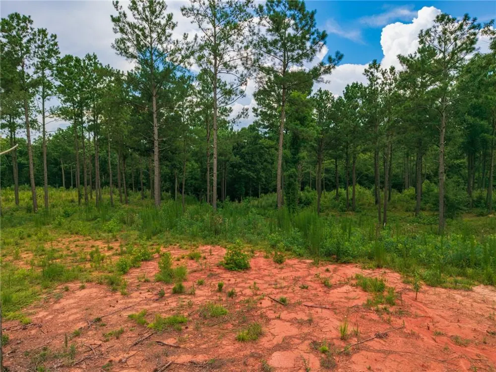 143 Falls Lane Milledgeville, GA 31061