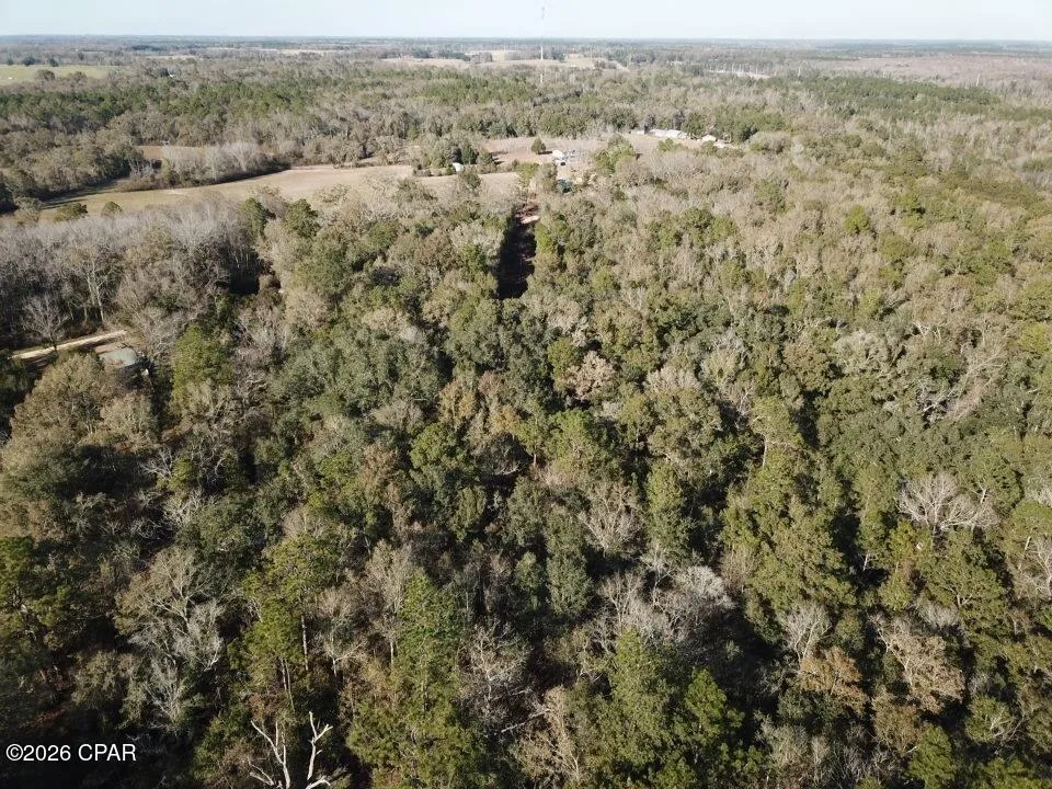 1221 Js Jones Road Graceville, FL 32440