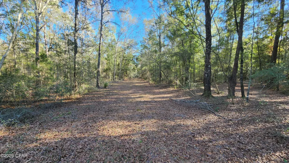 1221 Js Jones Road Graceville, FL 32440