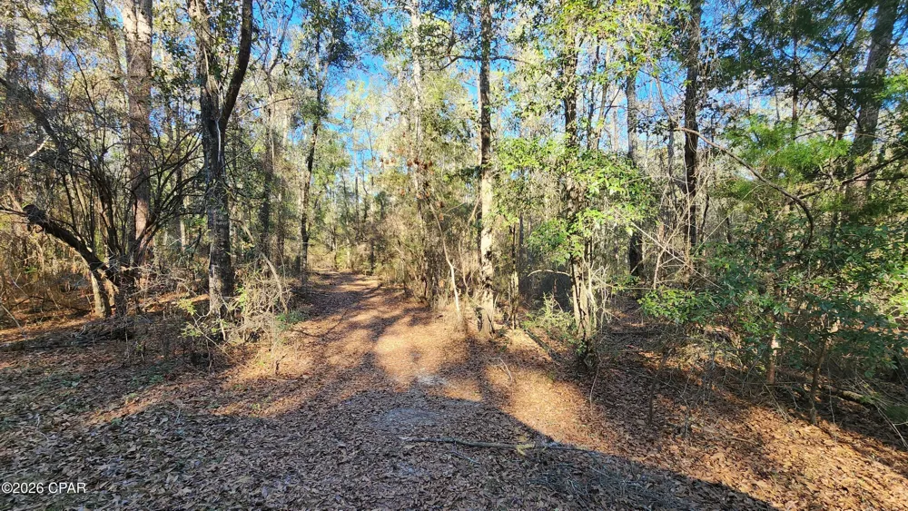 1221 Js Jones Road Graceville, FL 32440