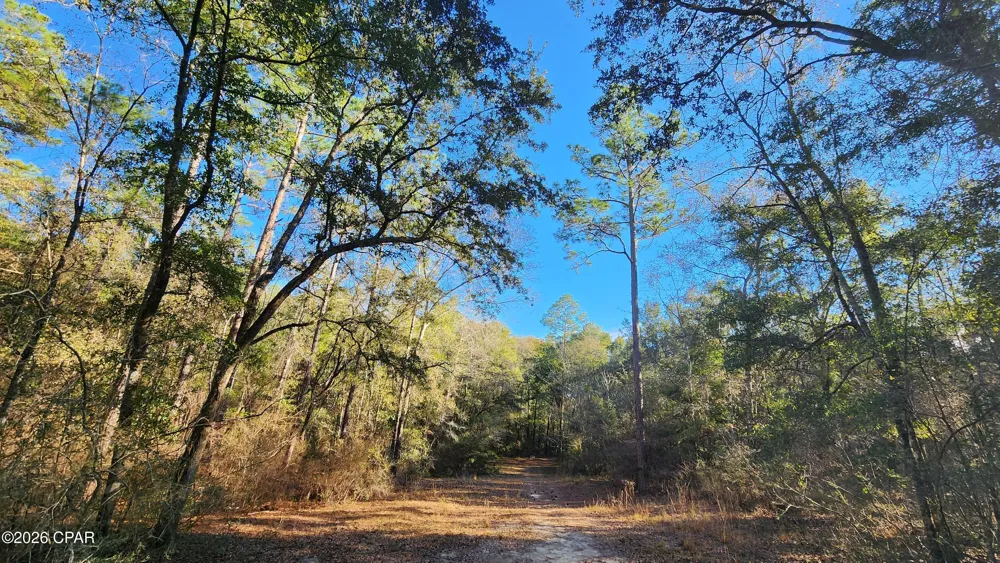 1221 Js Jones Road Graceville, FL 32440