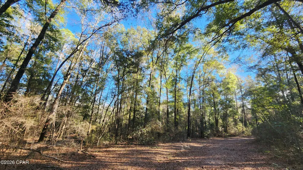1221 Js Jones Road Graceville, FL 32440