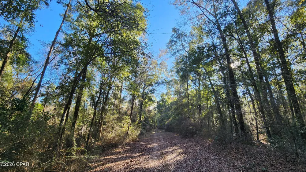 1221 Js Jones Road Graceville, FL 32440