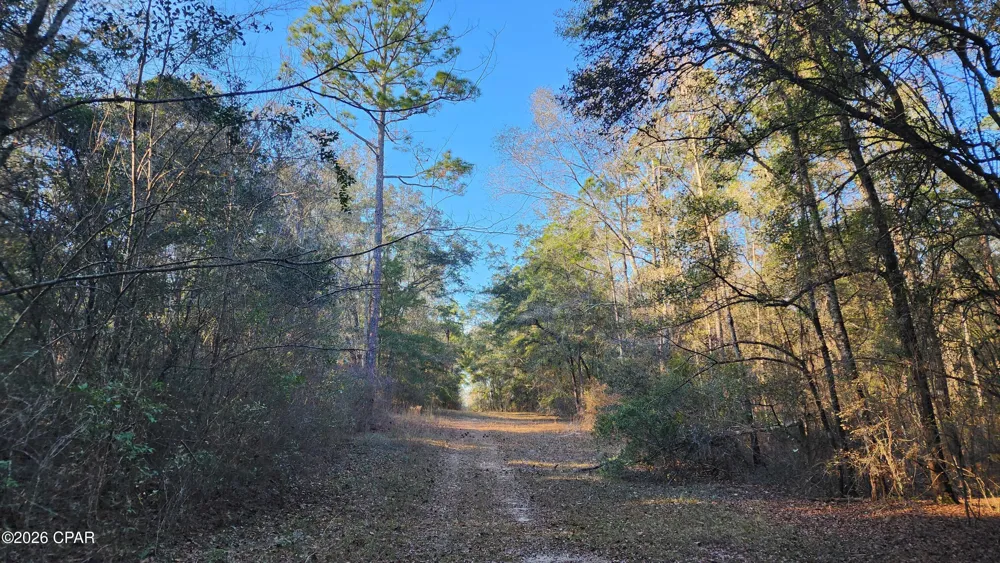 1221 Js Jones Road Graceville, FL 32440