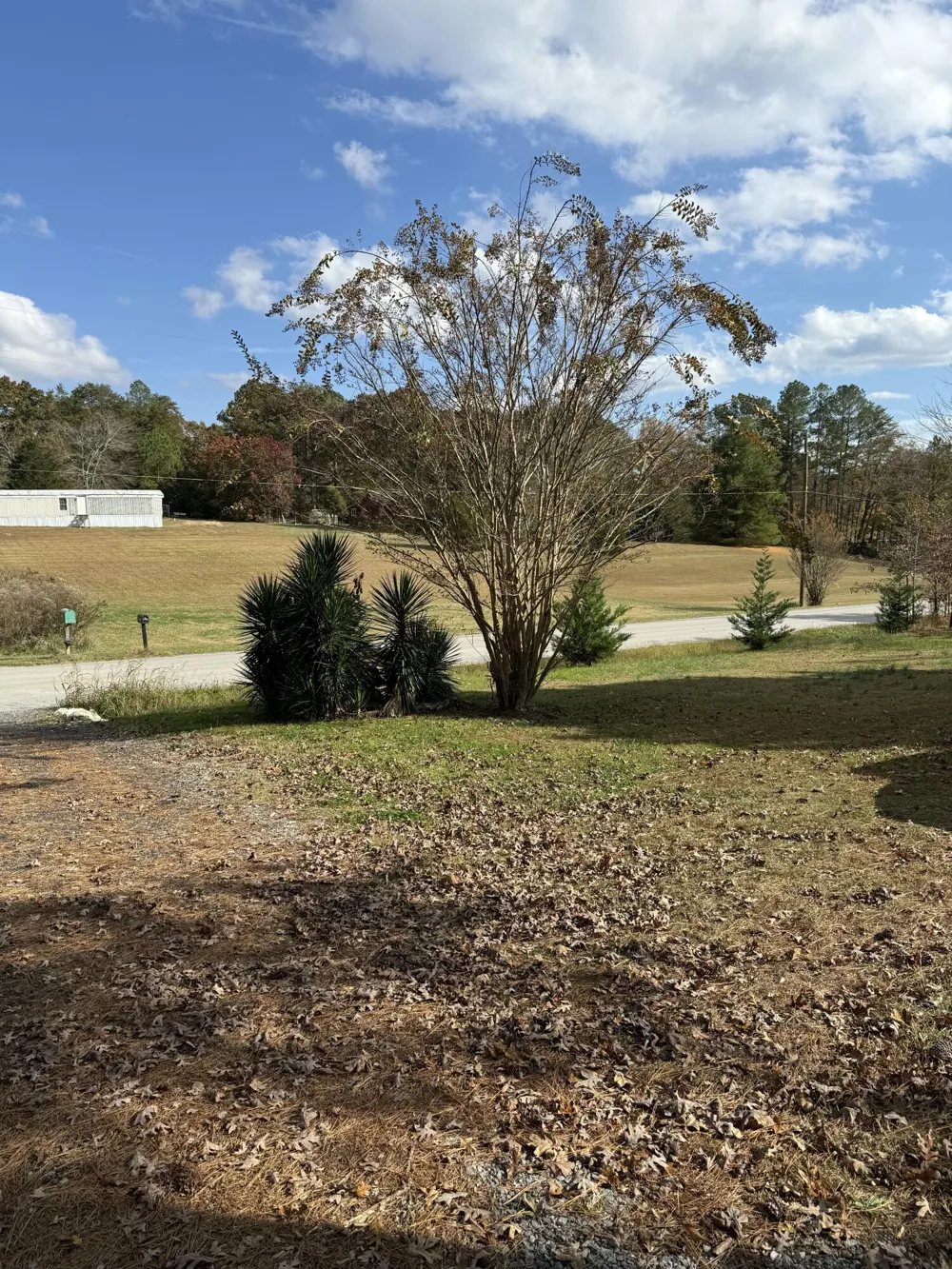 2558 S Dick Creek Road LaFayette, GA 30728