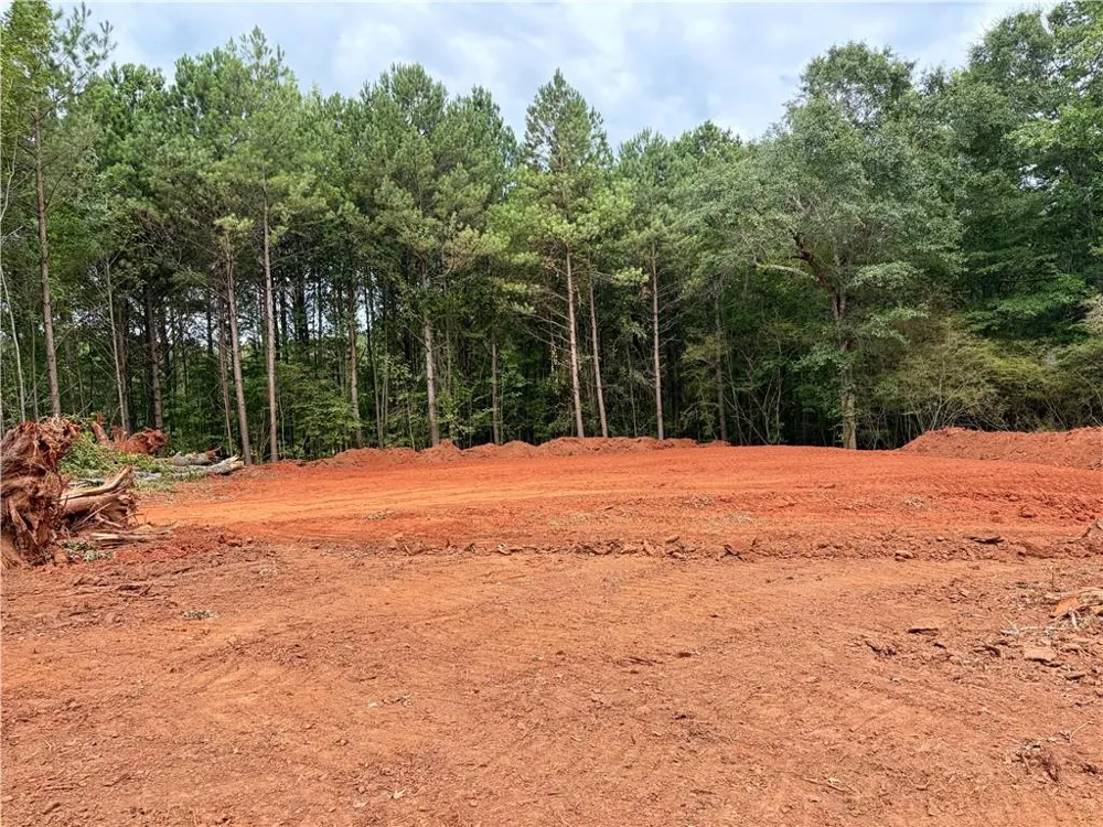 3 Wisteria Lane Williamson, GA 30292