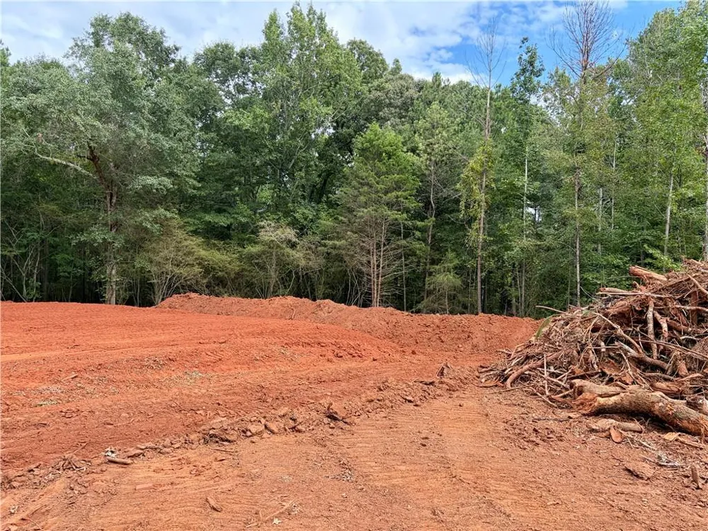 3 Wisteria Lane Williamson, GA 30292