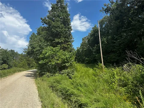 Marion County 4019