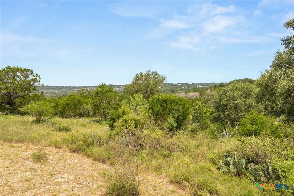 2188 Bretzke Lane New Braunfels, TX 78132