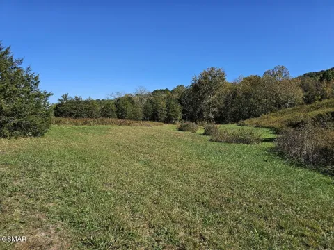 35 Shoreline Vista