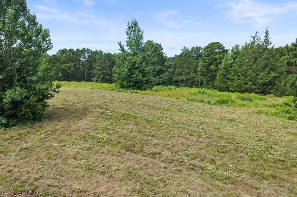 1381 COUNTY ROAD 1763 Linden, TX 75563