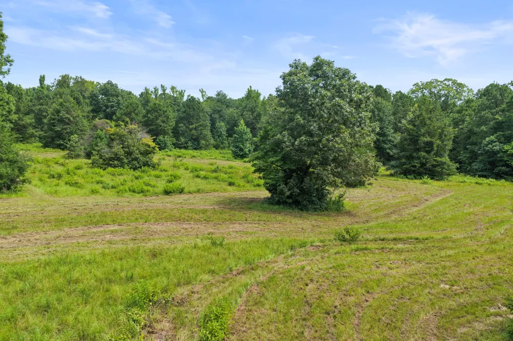 1381 COUNTY ROAD 1763 Linden, TX 75563