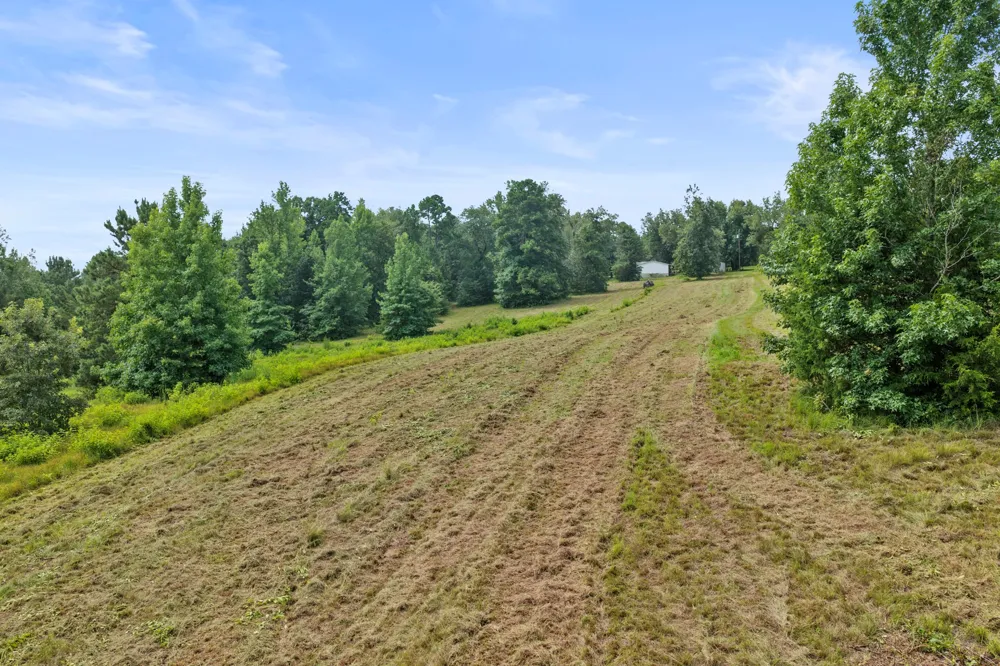 1381 COUNTY ROAD 1763 Linden, TX 75563