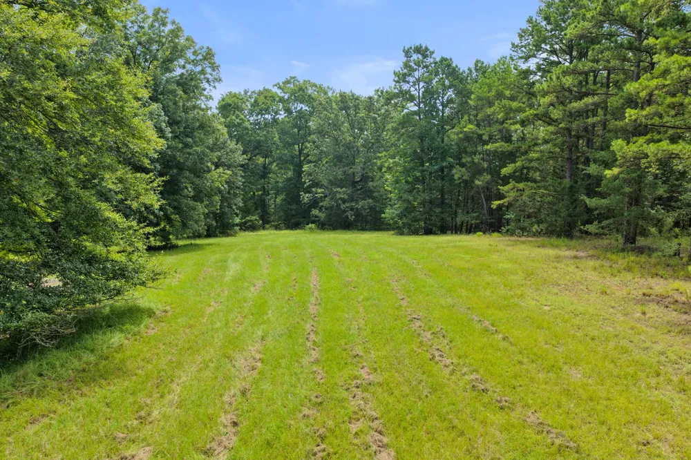 1381 COUNTY ROAD 1763 Linden, TX 75563