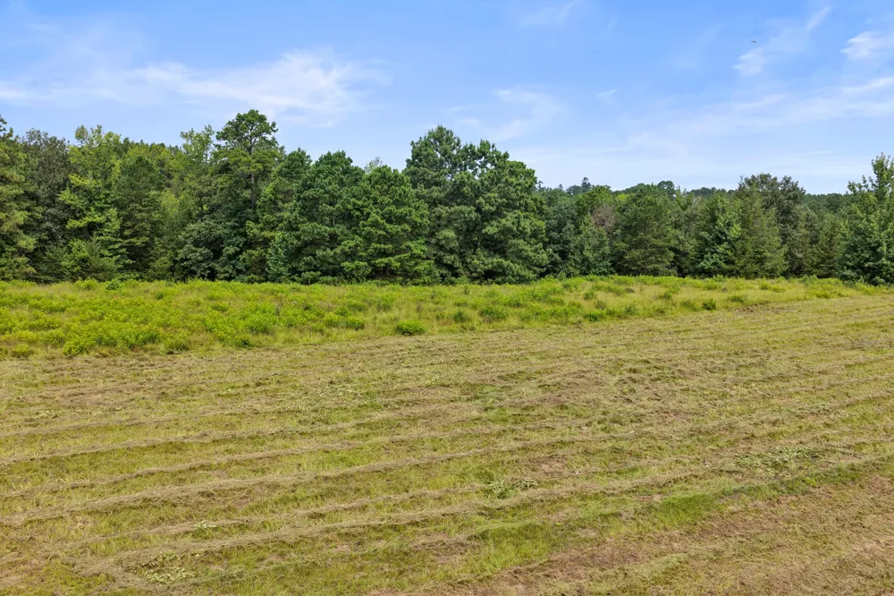 1381 COUNTY ROAD 1763 Linden, TX 75563