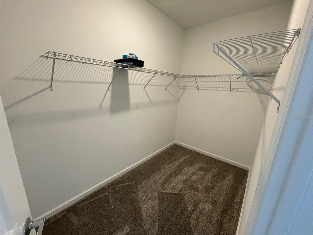 6098 BLISSFUL STREET Clermont, FL 34714