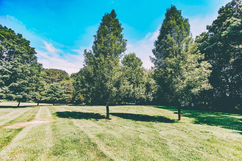 1072 E Territorial Road Rives Junction, MI 49277