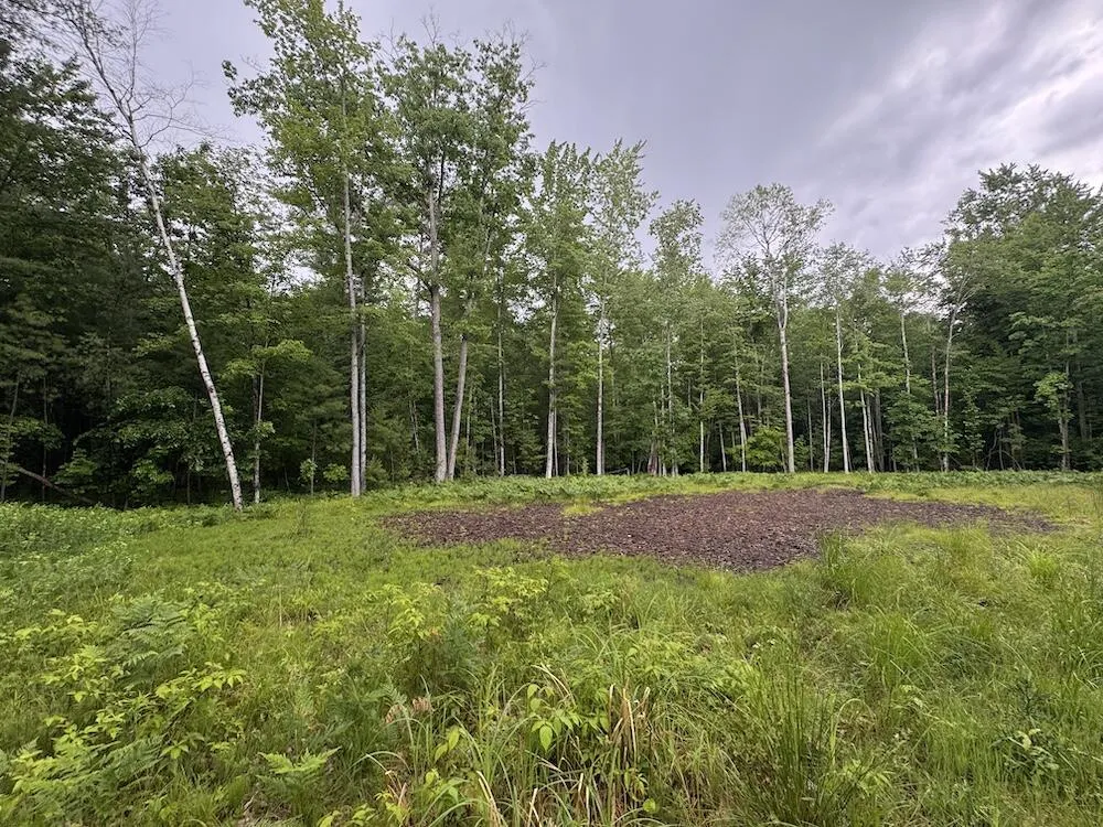 Pinecrest Drive Gladwin, MI 48624