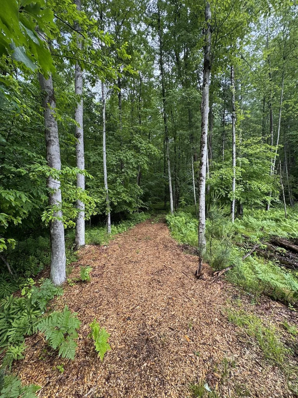 Pinecrest Drive Gladwin, MI 48624