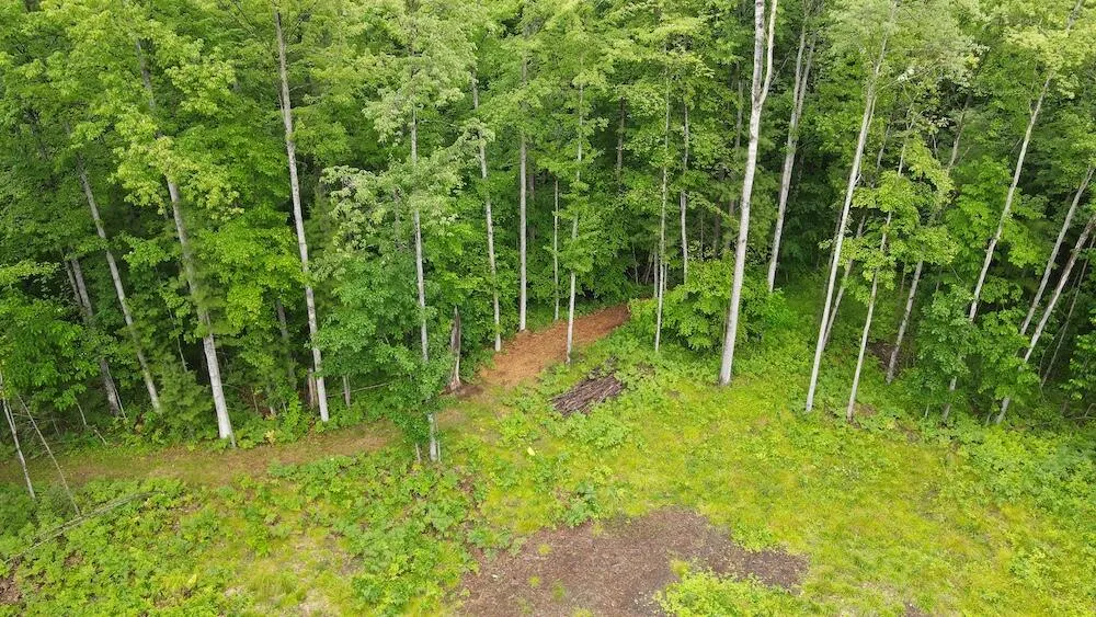 Pinecrest Drive Gladwin, MI 48624
