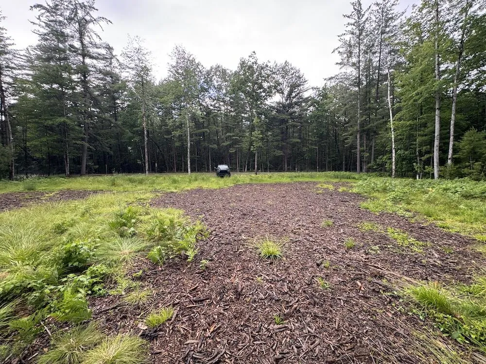 Pinecrest Drive Gladwin, MI 48624