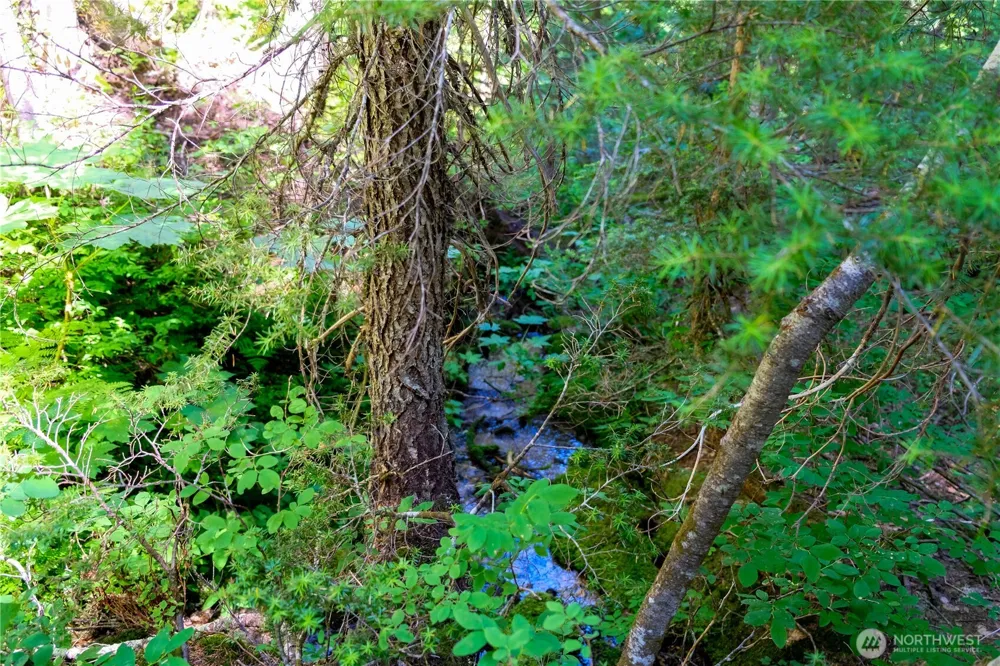 34115 Stevens Road Leavenworth, WA 98826