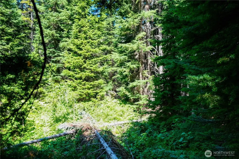 34115 Stevens Road Leavenworth, WA 98826
