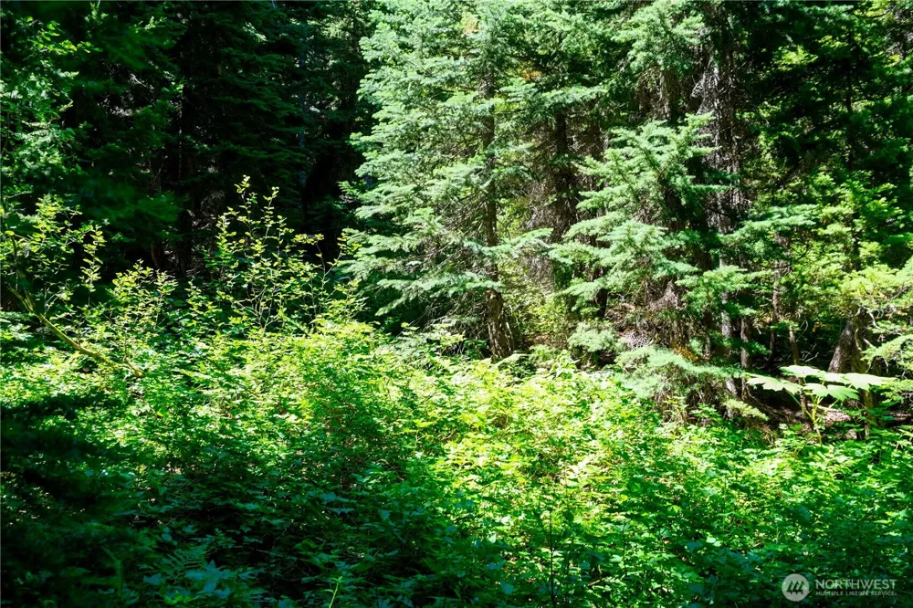 34115 Stevens Road Leavenworth, WA 98826