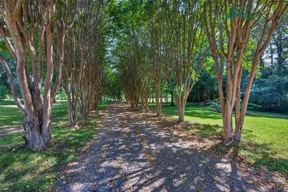 10021 Highway 1 Mooringsport, LA 71060