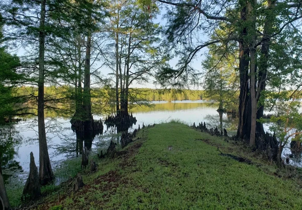 10021 Highway 1 Mooringsport, LA 71060