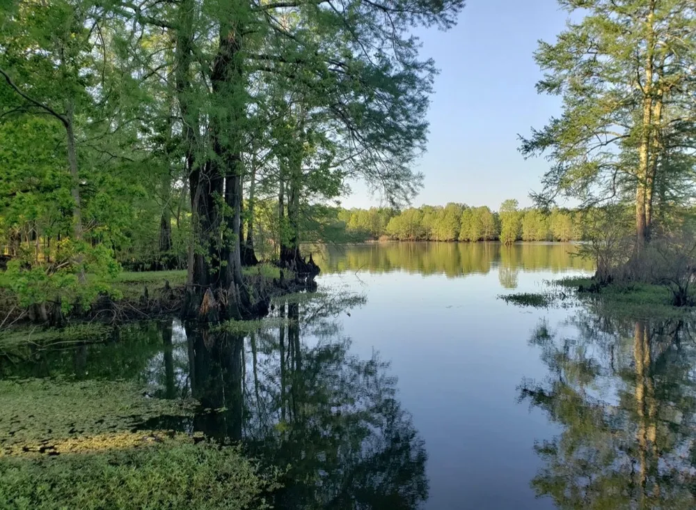 10021 Highway 1 Mooringsport, LA 71060