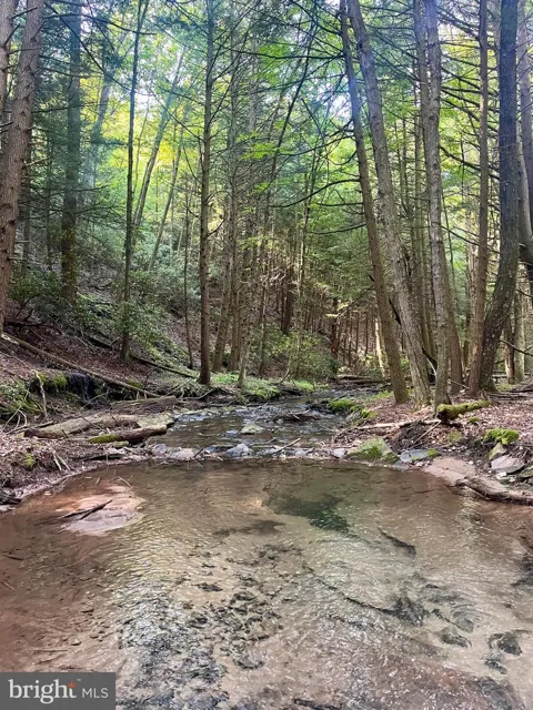 2600 BEECH CREEK MOUNTAIN ROAD