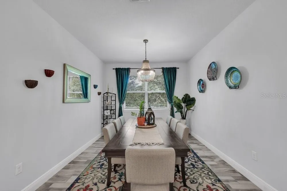 11505 CAMBIUM CROWN DRIVE Riverview, FL 33569