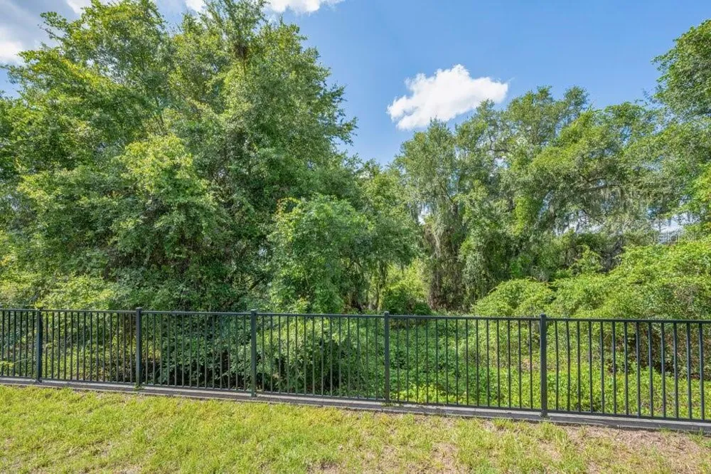 11505 CAMBIUM CROWN DRIVE Riverview, FL 33569