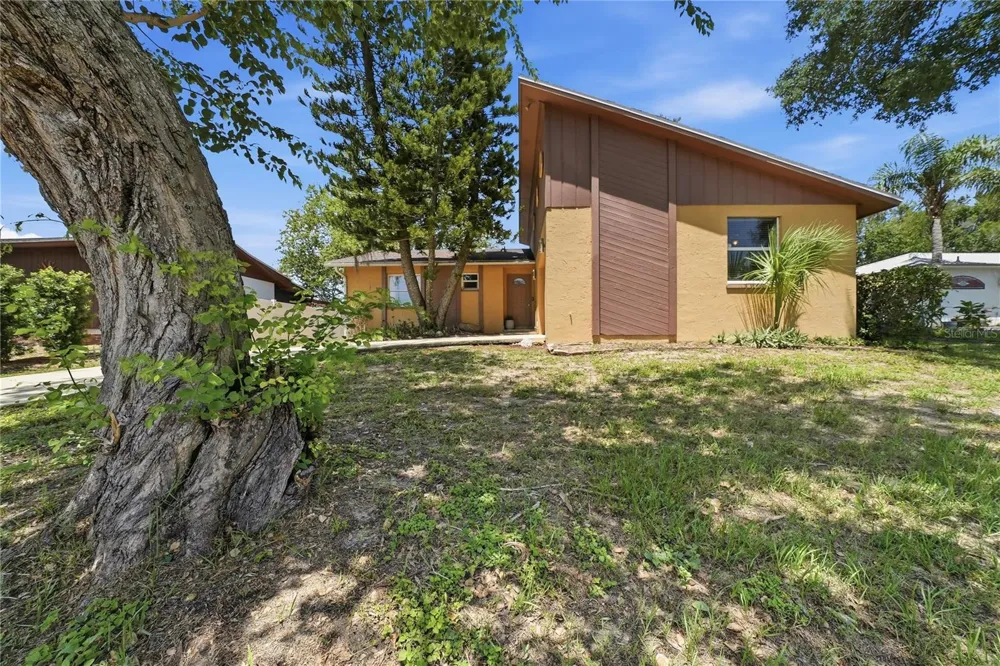 906 CARLTON ROAD Tarpon Springs, FL 34689