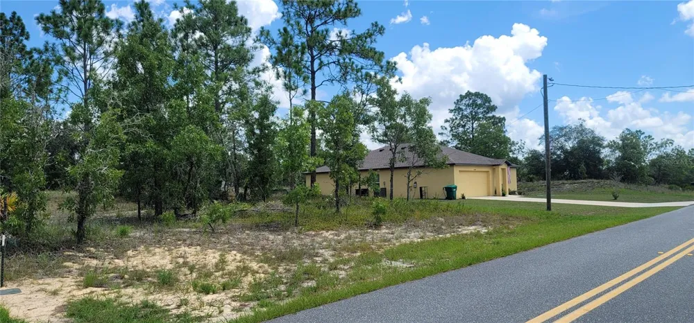 10339 G MARTINELLI BOULEVARD Citrus Springs, FL 34433