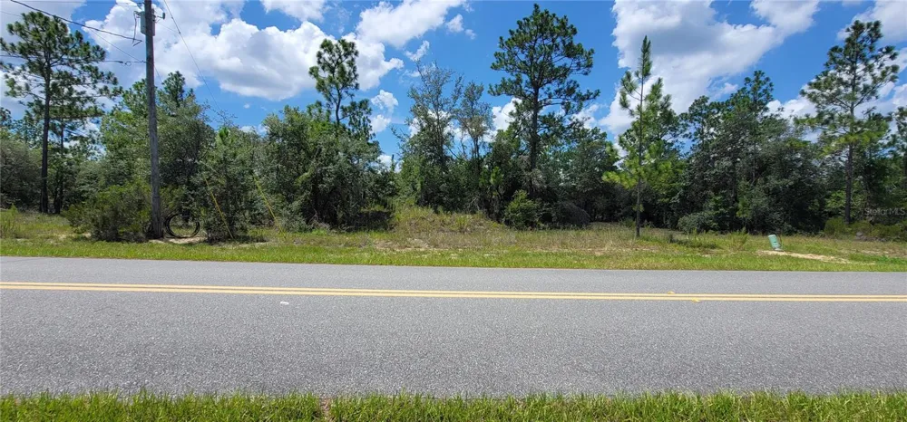 10339 G MARTINELLI BOULEVARD Citrus Springs, FL 34433
