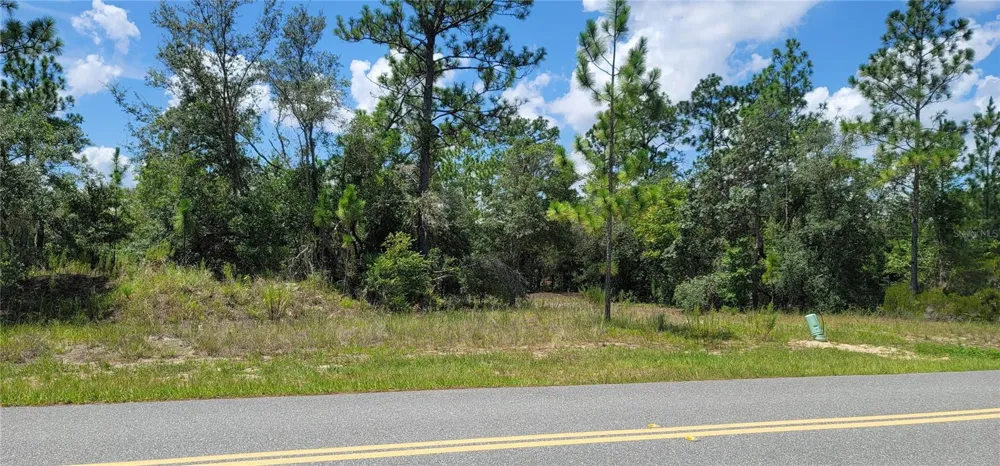 10339 G MARTINELLI BOULEVARD Citrus Springs, FL 34433