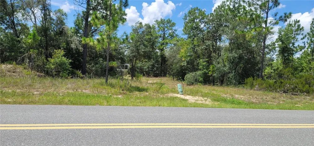 10339 G MARTINELLI BOULEVARD Citrus Springs, FL 34433