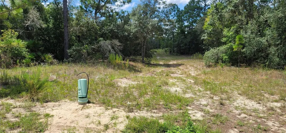 10339 G MARTINELLI BOULEVARD Citrus Springs, FL 34433