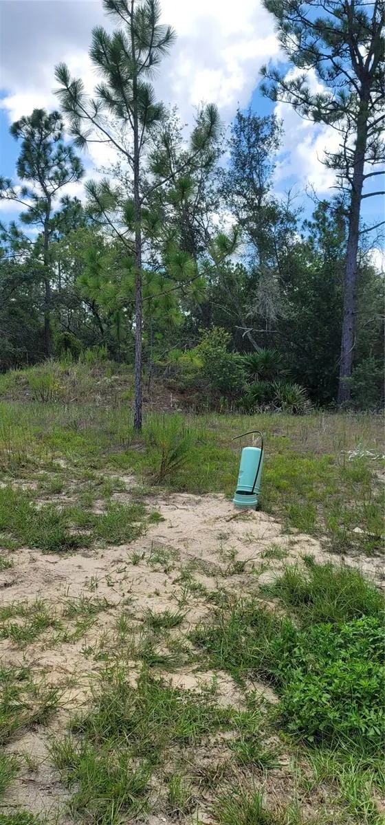 10339 G MARTINELLI BOULEVARD Citrus Springs, FL 34433