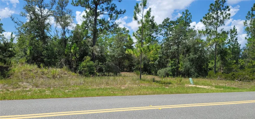 10339 G MARTINELLI BOULEVARD Citrus Springs, FL 34433