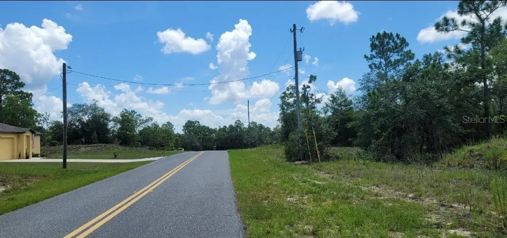 10339 G MARTINELLI BOULEVARD Citrus Springs, FL 34433