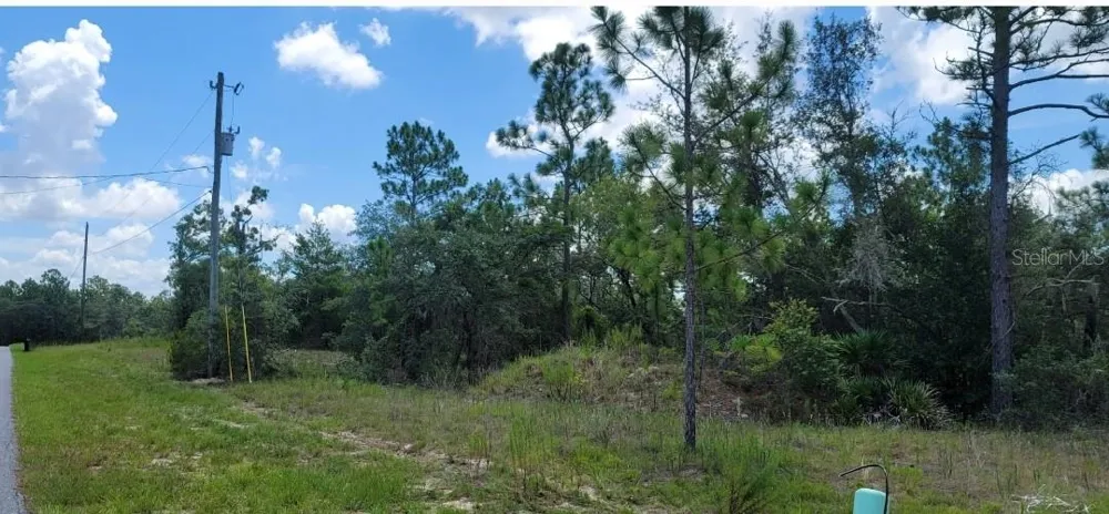 10339 G MARTINELLI BOULEVARD Citrus Springs, FL 34433